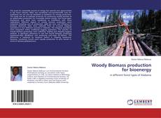 Woody Biomass production for bioenergy的封面