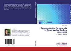 Capa do livro de Semiconductor Compounds in Single-Walled Carbon Nanotubes 