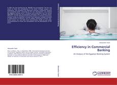 Buchcover von Efficiency in Commercial Banking