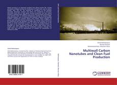 Capa do livro de Multiwall Carbon Nanotubes and Clean Fuel Production 