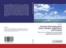 Bookcover of Random Disambiguation Paths: Models, Algorithms, and Analysis