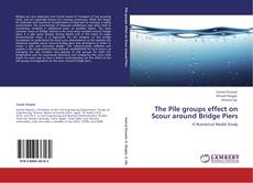 Buchcover von The Pile groups effect on Scour around Bridge Piers