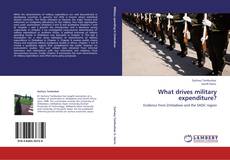 Bookcover of What drives military expenditure?