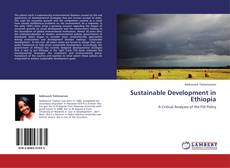 Capa do livro de Sustainable Development in Ethiopia 