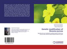 Обложка Genetic modification of Brassica juncea