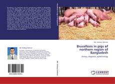 Brucellosis in pigs of northern region of Bangladesh kitap kapağı