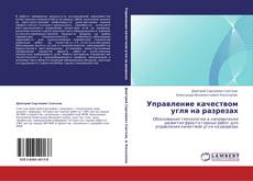 Bookcover of Управление качеством угля на разрезах