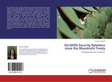 EU-NATO Security Relations since the Maastricht Treaty kitap kapağı