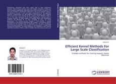 Efficient Kernel Methods For Large Scale Classification kitap kapağı