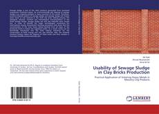 Portada del libro de Usability of Sewage Sludge in Clay Bricks Production