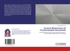 Survival Mechanisms of Female-Headed Households kitap kapağı