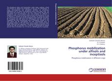 Buchcover von Phosphorus mobilization under alfisols and inceptisols
