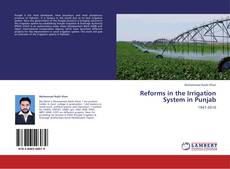 Copertina di Reforms in the Irrigation System in Punjab