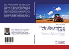Bookcover of Effect of tillage practices on yield of Wheat and Maize rotation