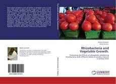Buchcover von Rhizobacteria and Vegetable Growth.