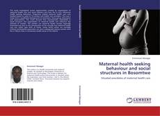 Buchcover von Maternal health seeking behaviour and social structures in Bosomtwe