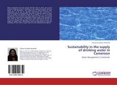 Capa do livro de Sustainability in the supply of drinking water in Cameroon 