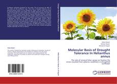 Buchcover von Molecular Basis of Drought Tolerance In Helianthus annus