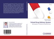 Portada del libro de Pulsed Drug Delivery System