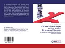 Copertina di Efficient Reinforcement Learning in High Dimensional Domains