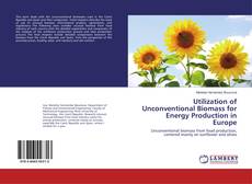 Utilization of Unconventional Biomass for Energy Production in Europe的封面