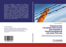 Buchcover von Управление государственными расходами в пенитенциарной системе России