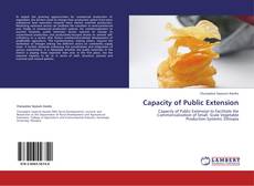 Buchcover von Capacity of Public Extension