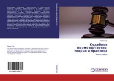 Buchcover von Судебное нормотврчество: теория и практика
