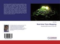 Real-time Tone Mapping kitap kapağı