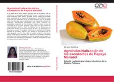 Portada del libro de Agroindustrialización de los excedentes de Papaya Maradol