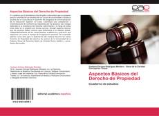 Buchcover von Aspectos Básicos del Derecho de Propiedad