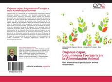 Обложка Cajanus cajan, Leguminosa Forrajera en la Alimentación Animal