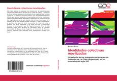 Buchcover von Identidades colectivas movilizadas
