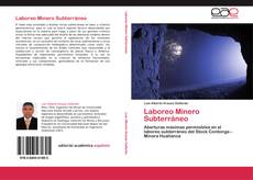Bookcover of Laboreo Minero Subterráneo