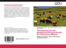 Caracterización del ganado bovino sacrificado en Chihuahua, México kitap kapağı