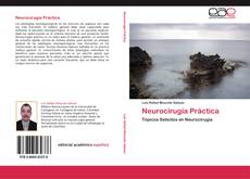 Capa do livro de Neurocirugía Práctica 