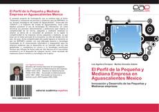 El Perfil de la Pequeña y Mediana Empresa en Aguascalientes Mexico的封面