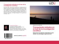 Triangulando métodos en el mar de la investigación científica kitap kapağı
