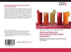Bookcover of Aprovechamiento semiindustrial de frutas tropicales