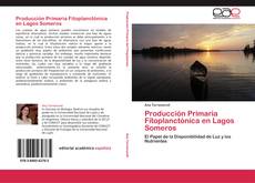 Couverture de Producción Primaria Fitoplanctónica en Lagos Someros