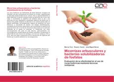 Couverture de Micorrizas arbusculares y bacterias solubilizadoras de fosfatos