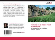 Bookcover of Turismo en el medio rural grancanario