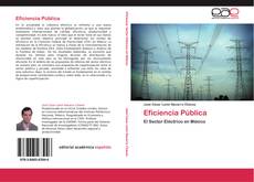 Eficiencia Pública kitap kapağı