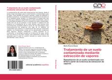 Bookcover of Tratamiento de un suelo contaminado mediante extracción de vapores