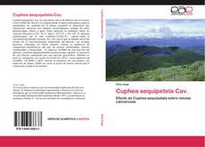Bookcover of Cuphea aequipetela Cav.