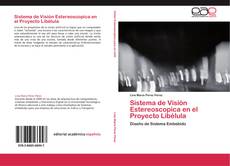 Buchcover von Sistema de Visión Estereoscopica en el Proyecto Libélula