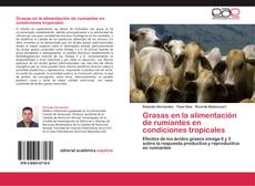 Buchcover von Grasas en la alimentación de rumiantes en condiciones tropicales