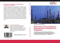 Estructura, Acumulación y Organización Industrial en Argentina kitap kapağı