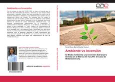 Bookcover of Ambiente vs Inversión