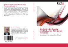 Buchcover von Medición del Capital Intelectual de Territorios Insulares